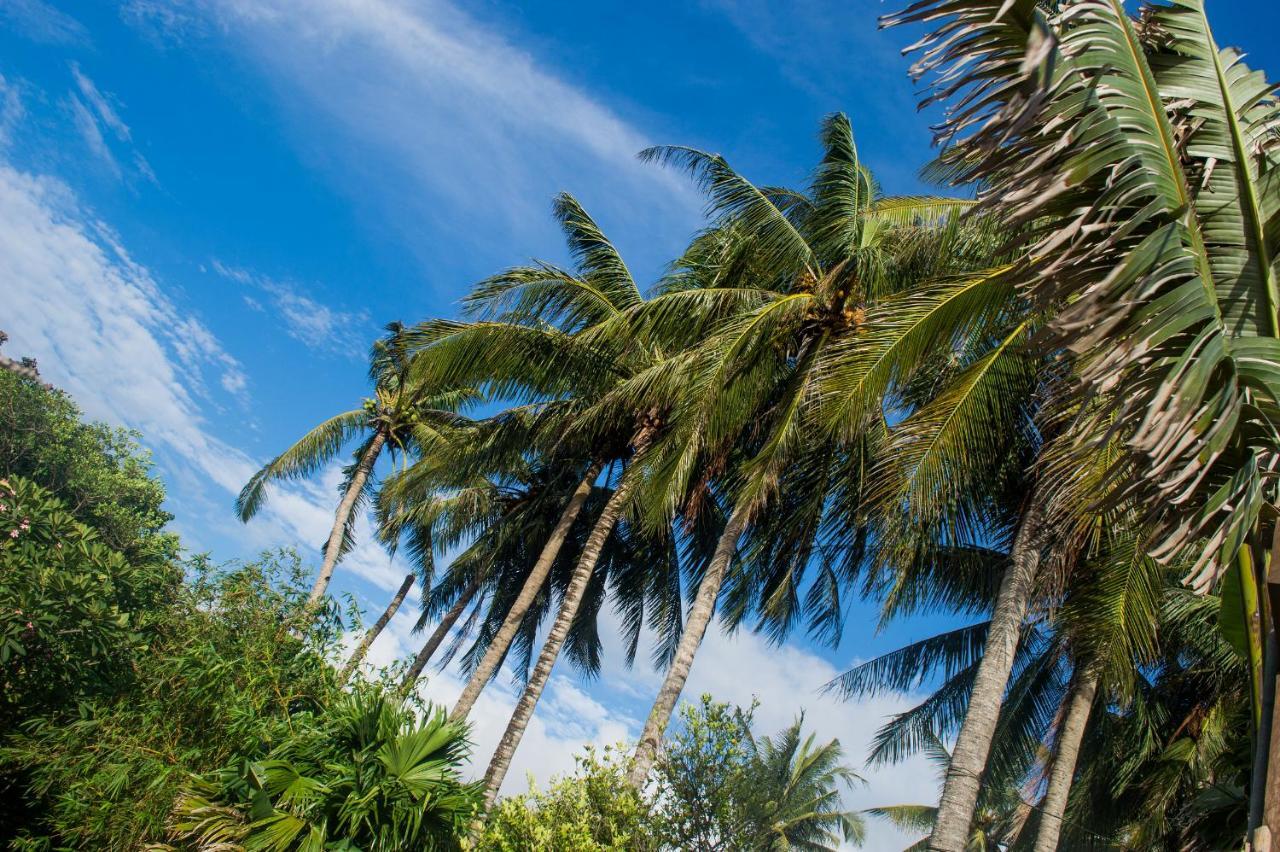 Reef Retreat Hotel 3*